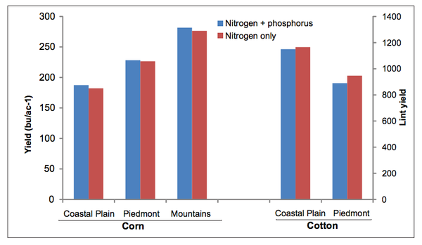 Thumbnail image for Starter Phosphorus Fertilizer and Additives in North Carolina Soils: Use, Placement, and Plant Response